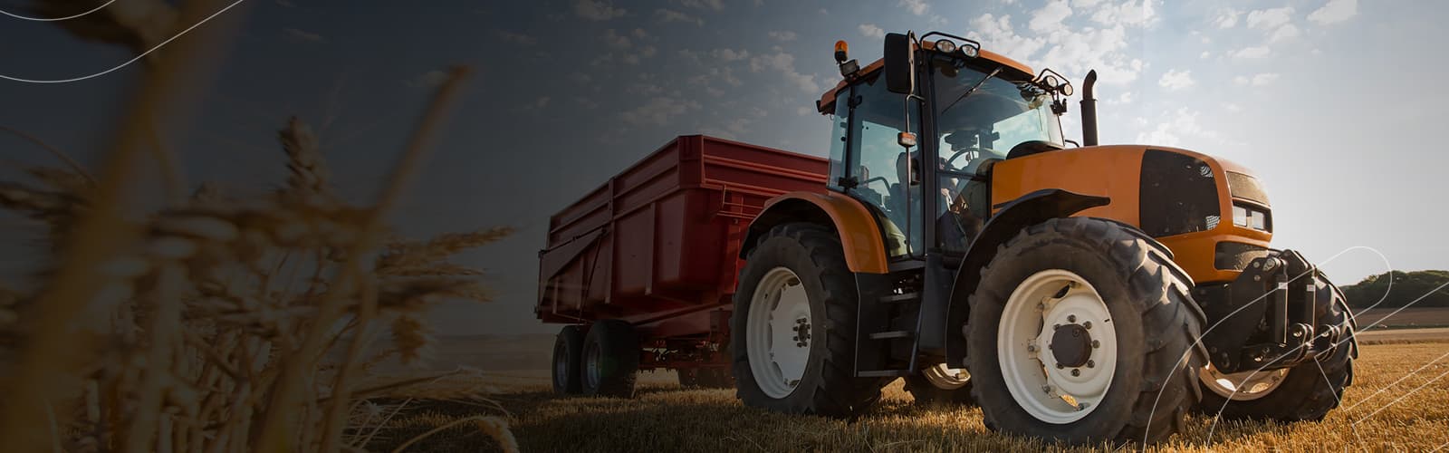 Máquina agrícola puxando uma caçamba de carga ao lado de uma plantação de trigo