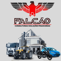 Imagem de perfil de Falcão Consultoria e Soluções Financeiras