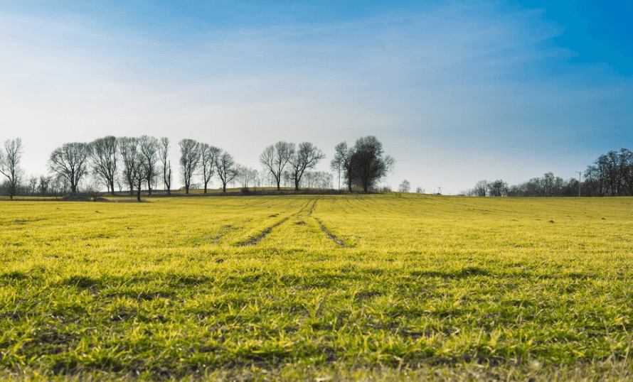 Construa seu futuro com um consórcio para terreno