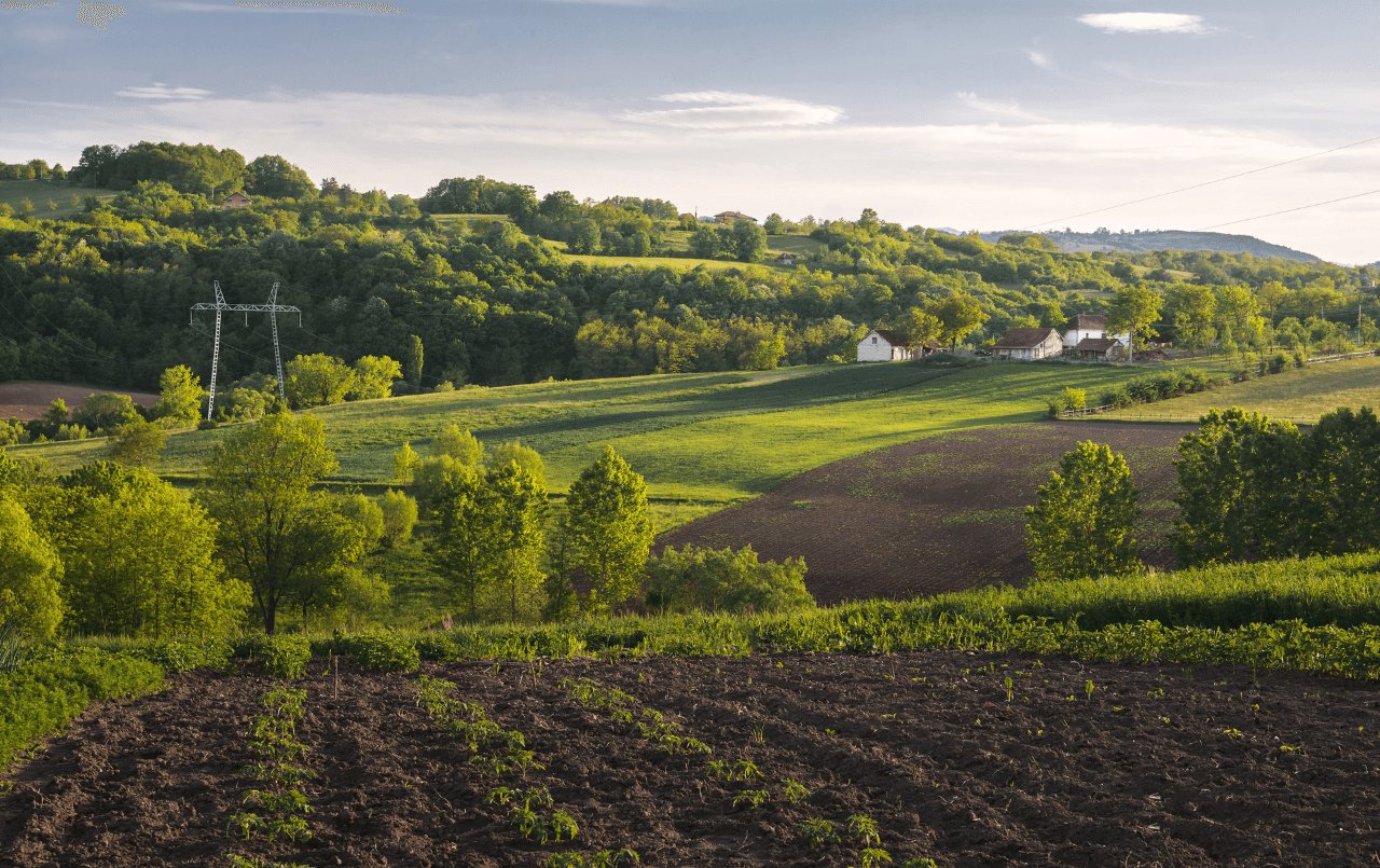 Use o consórcio para comprar terreno