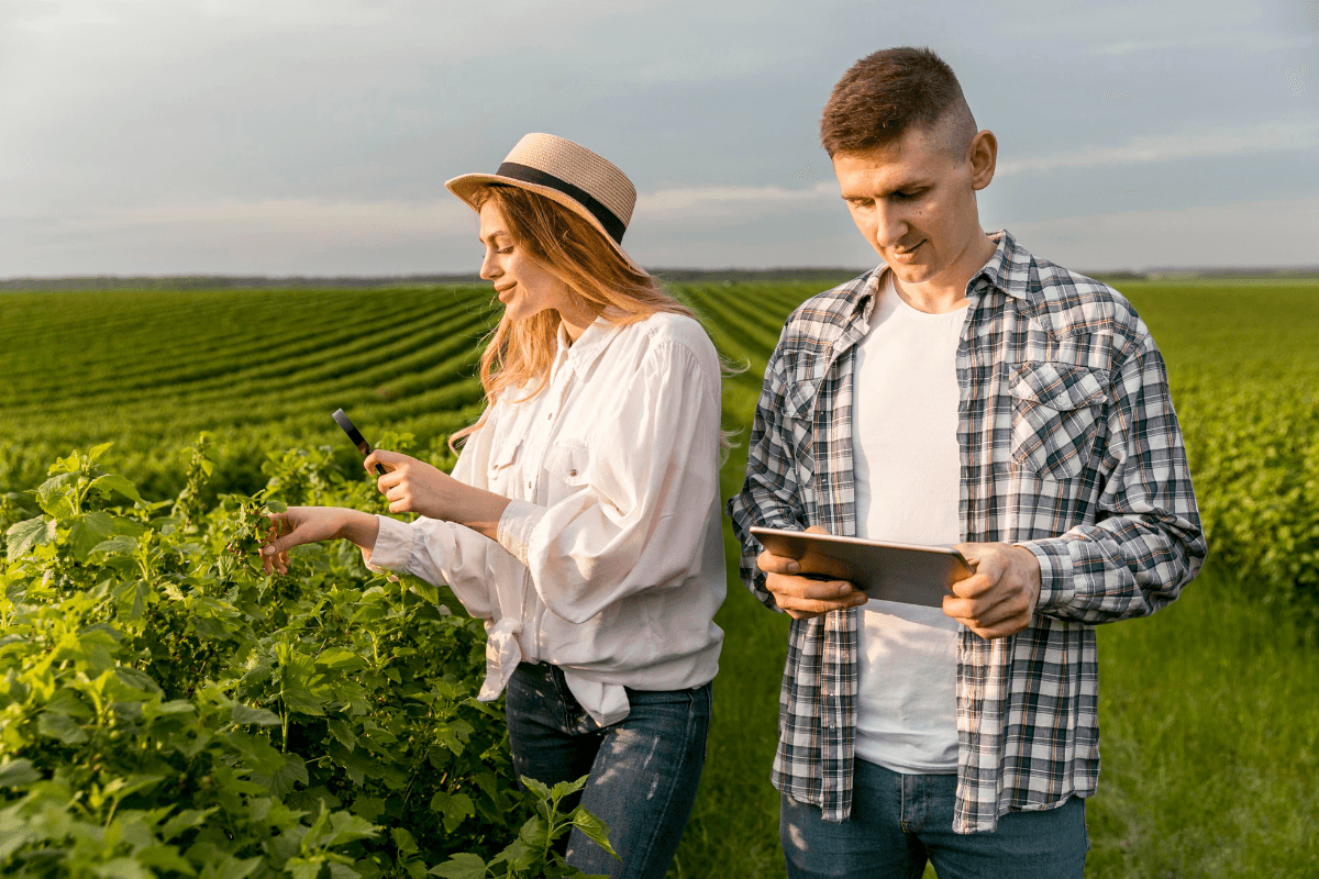 Como os produtores rurais usam a carta de crédito para investir no campo?