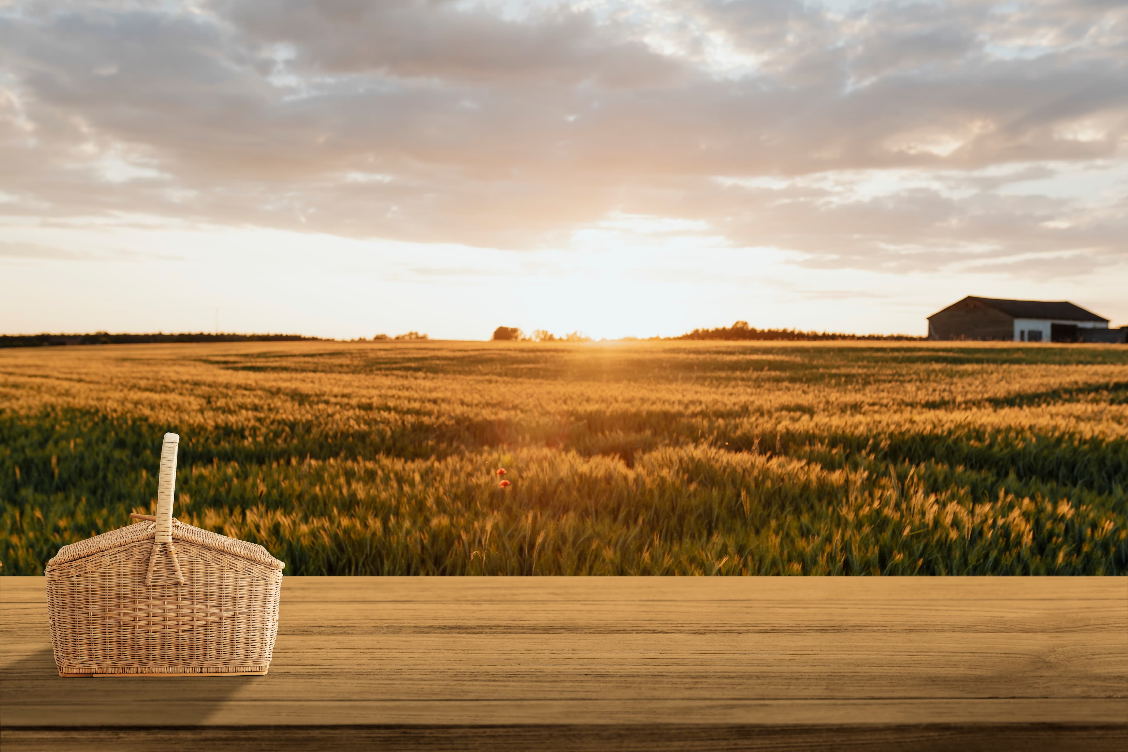Passo a passo para comprar terreno rural com consórcio