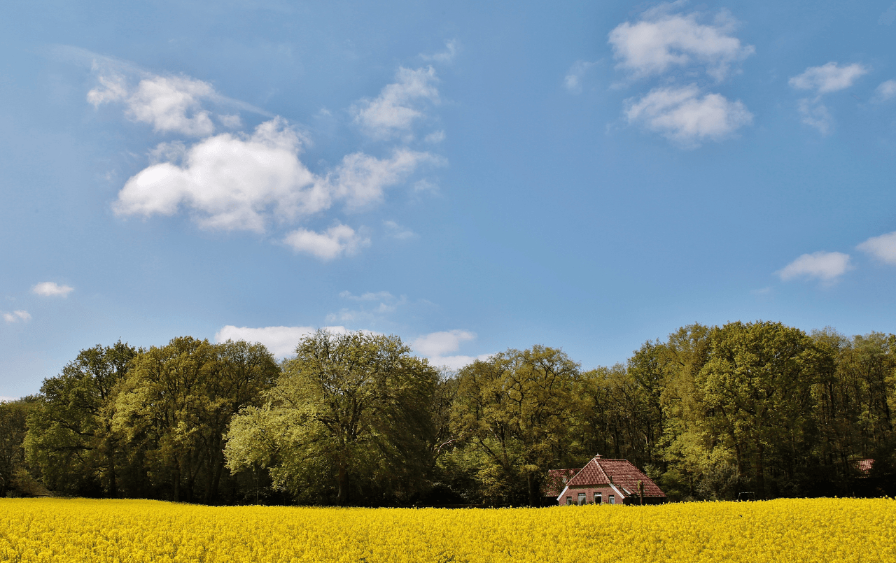 Seu terreno para construir através do consórcio sem juros