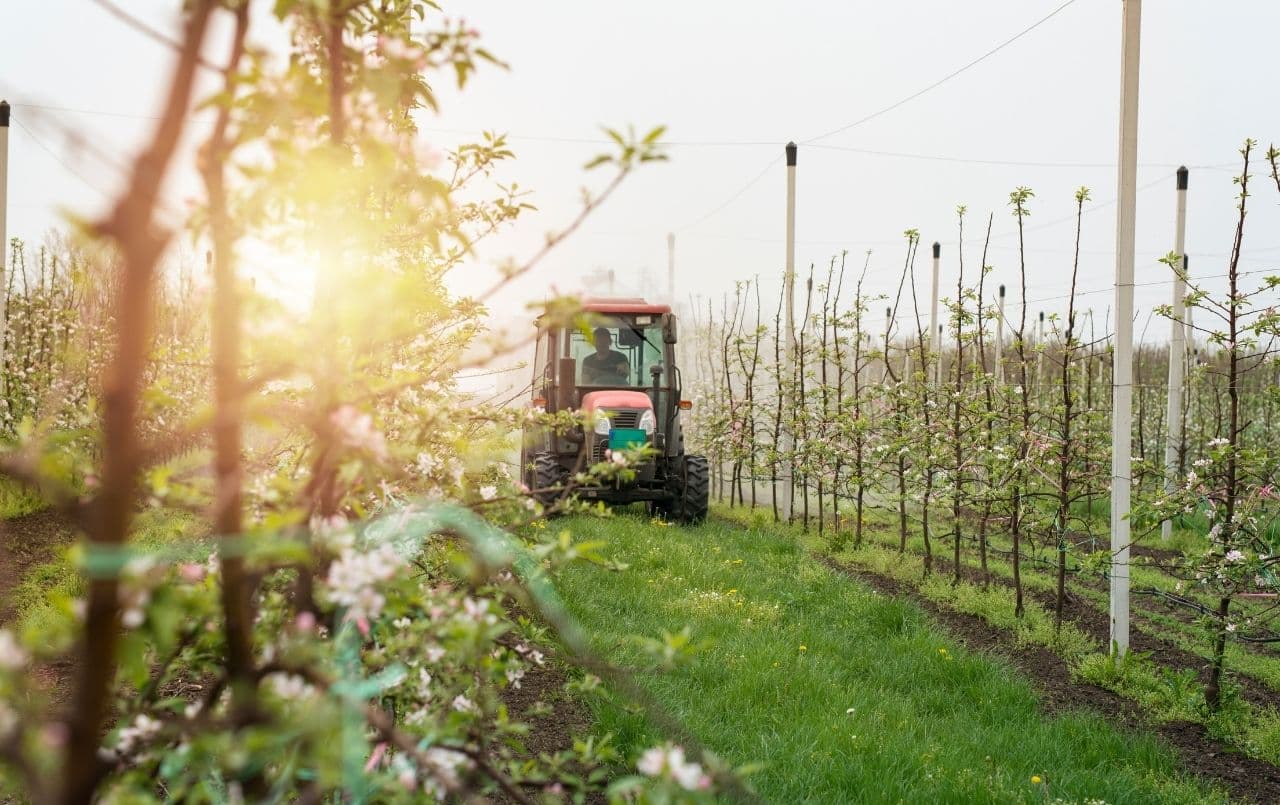 Consórcio de máquinas agrícolas: entenda como funciona