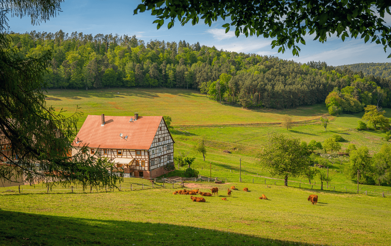 Comprar sítio com consórcio