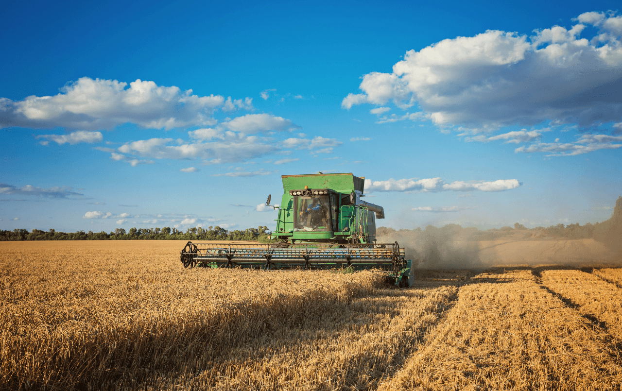 Guia de contemplação no consórcio agrícola