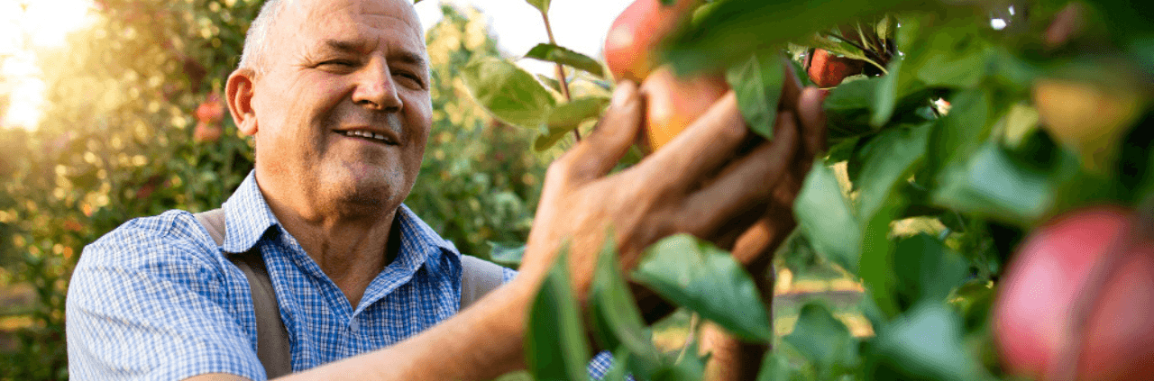 O melhor momento da história do agronegócio brasileiro