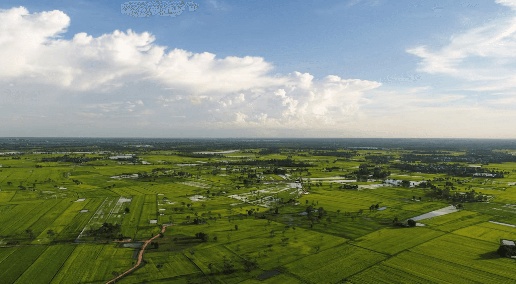 Construa seu futuro: Comprar terreno com consórcio é a solução