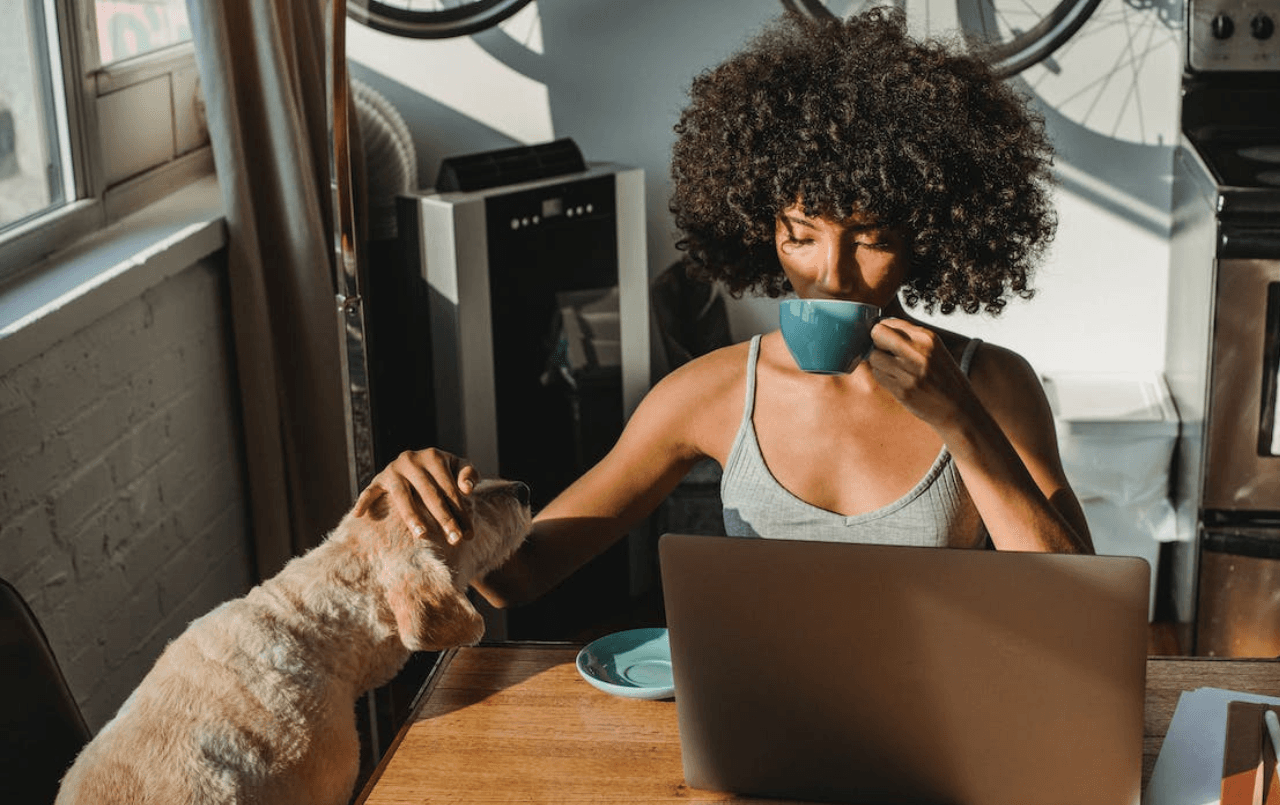 Imagem de Carta de crédito simulação